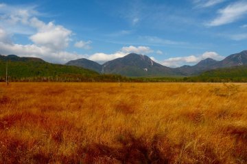 日光 战场之原的秋天