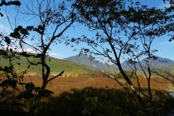In autumn, a variety of colors gradually appear in the Senjo-ga-hara marshlands