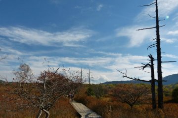 A pleasant walk under the beautiful sky