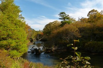 Autumn is the most gorgeous season here