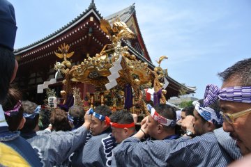 Beautiful mikoshi