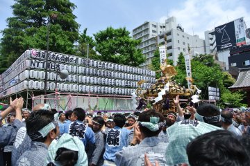 So many people needed to carry the mikoshi