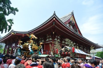 Mikoshi in front of Senso-ji
