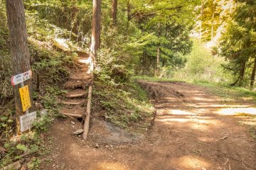 After entering this forest the paved road will form into a trail with the trailhead located on the left
