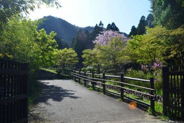 Otagi Nenbutsu-ji