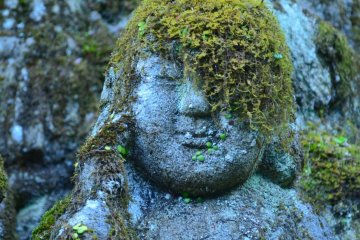 Moss covered Rakan