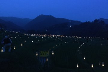 Terasaka Rice Terraces