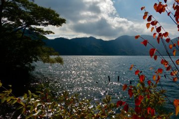 Autumn leaves are attractive at the lakeside