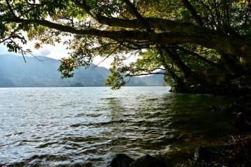Calm and quiet