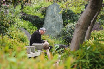 Interning at Japan Travel