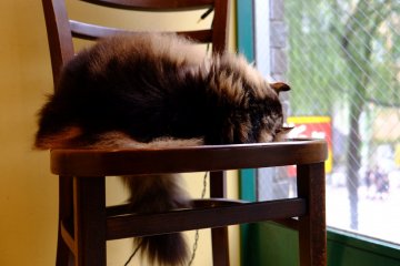 The sleepy one, part 2