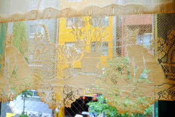 Cat lace curtains