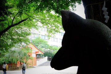 A watchful Kitsune overlooks the grounds
