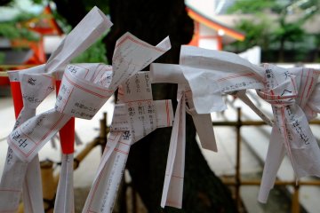 Paper fortunes on the fence