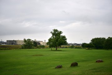 Along the Miomote River