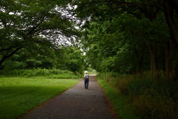 Along the Miomote River