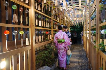 More colorful furin are illuminated by the night lights