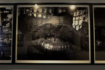 Moriyama's photos are surreal and punchy