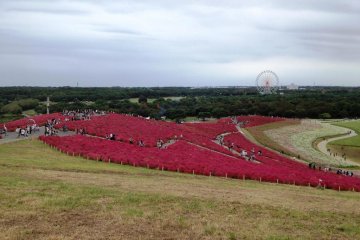 View from the lookout hill