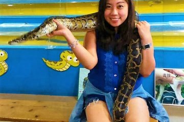 My Okinawa World Adventure