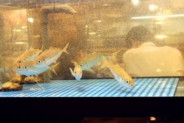 Seafood restaurant