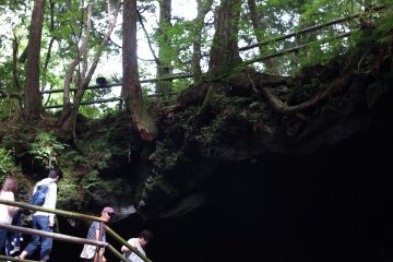 Entrée de la grotte Narusawa 