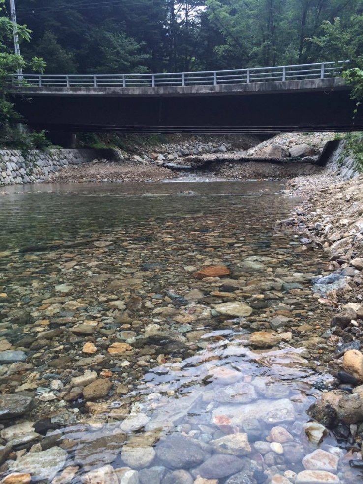 Crystal clear water at the Tanigawa River