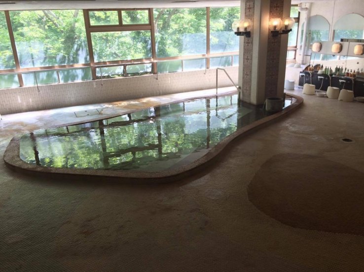 One of the indoor onsen areas at Higaki Onsen Hotel