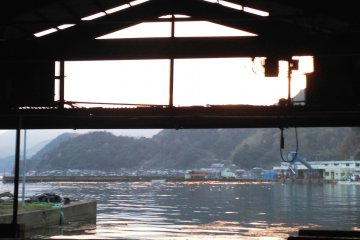 Ine Fishing Port – Sashimi does not get fresher than this