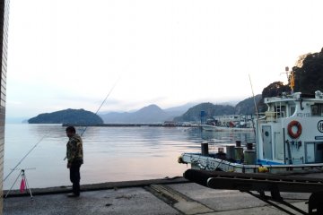 Ine Fishing Port – an authentic counter point to Tsukiji Markets