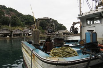It may be hard work on the fishing boats, but now with only one regular fishing boat based here, the lack of competition has meant that they get the pick of the sea