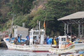 It may be hard work on the fishing boats, but now with only one regular fishing boat based here, the lack of competition has meant that they get pretty good quality catches