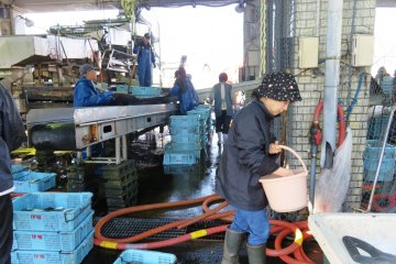 Ine Fish Market in action each morning