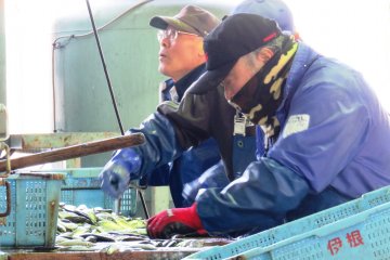 The Ine Fish Market opens from 7am each morning, however the closing time depends on the quantity of the catch. It is best to come early just in case.