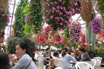 Cafe area