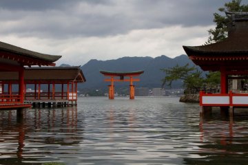 <p>The enormous torii (gate) floating at high tide</p>