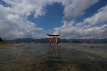 <p>At low tide you can normally&nbsp;walk around and through the torii. Just make sure that you don't forget the time out there, otherwise, it will be a quite wet experience!</p>