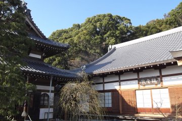The temple buildings