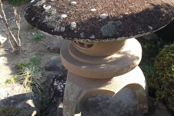 A lantern with a mushroom cap