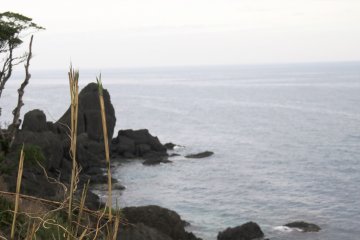 The wild coastline