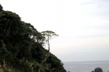 Desolate yet beautiful