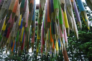 Visitors can get an up close look at these oversized colored pencils
