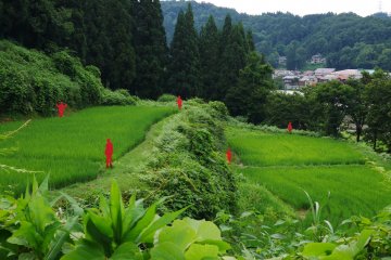 Red men cutouts spread throughout this rice paddy