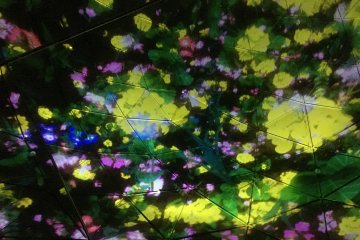 Instalasi The Falling Flower