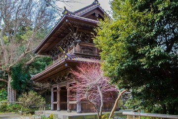 La porte Karamon au printemps