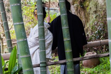 Le bosquet de bambous est très populaire pour les photos de mariage
