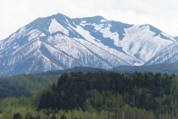 Snow covered mountains