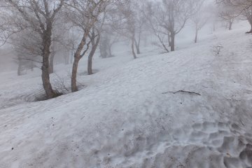 The trail has disappeared in deep snow at  Station 7