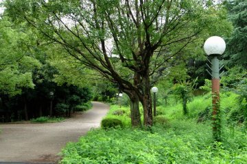 More conventional section of the park