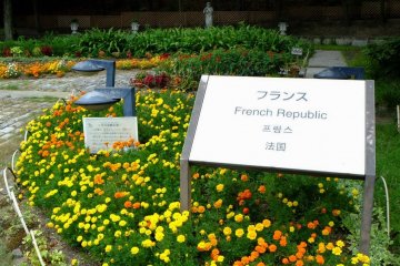 French garden was the only place I saw many flowers